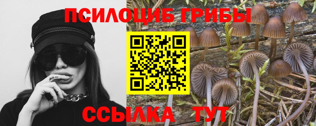 Псилоцибиновые грибы ЛСД Нижний Тагил
