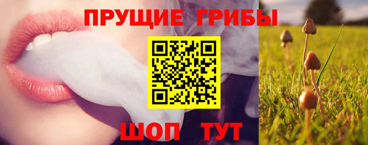 Псилоцибиновые грибы Magic Shrooms  Псилоцибиновые грибы MAGIC MUSHROOMS  Вход с VPN  Нижний Тагил 