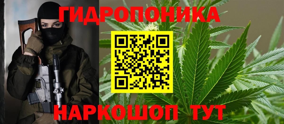 Шишки марихуана White Widow  Вход с VPN  Шишки марихуана White Widow  Шишки марихуана THC 21%  Нижний Тагил 